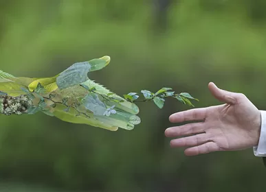Met een investering van US$100 miljoen werd het elektronische project van Rosenberg ondertekend in de Changzhou National High-tech Zone.